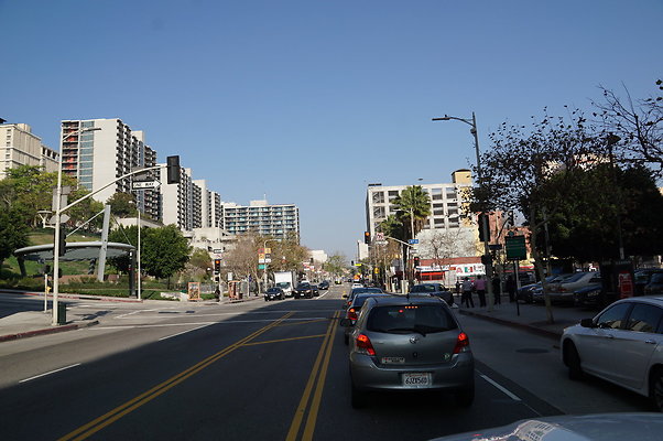 DSC06282