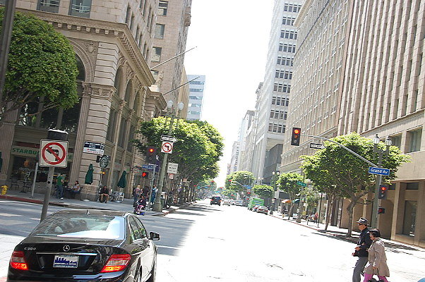 DSC 0206