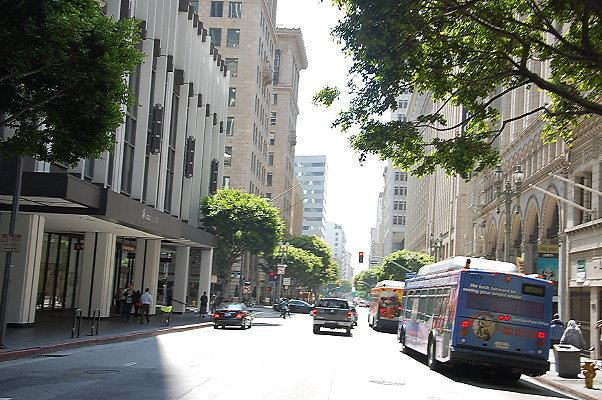 DSC 0205