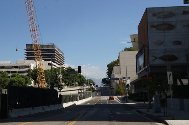 DSC04008