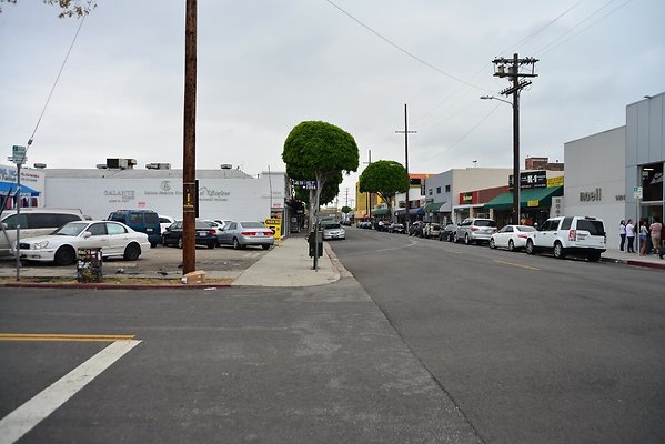 DSC 4515