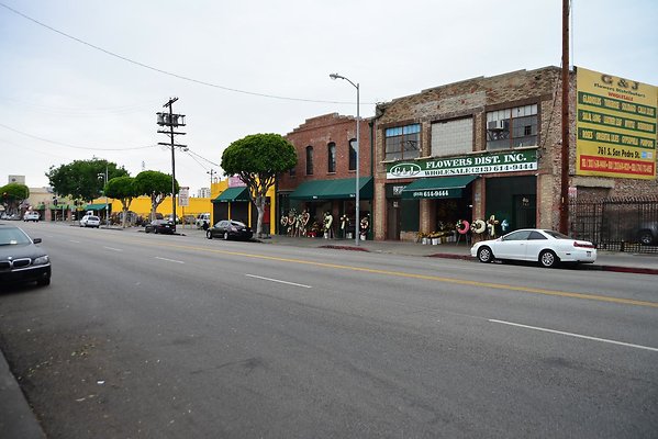 DSC 4557