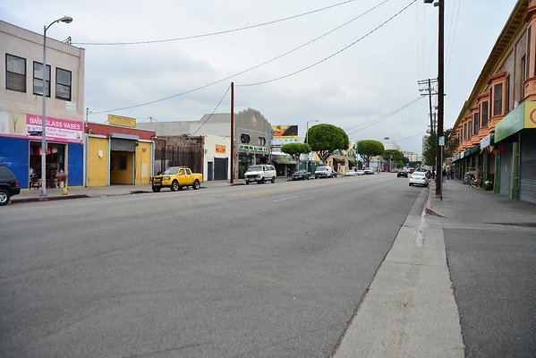 DSC 4559