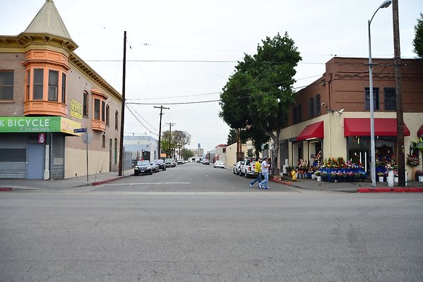 DSC 4554