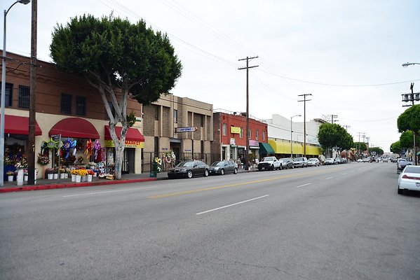 DSC 4555