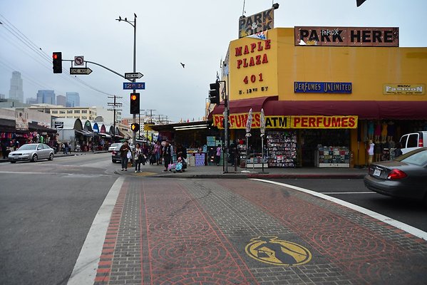 DSC 4537