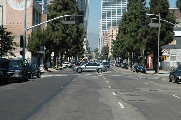 DSC 0050a