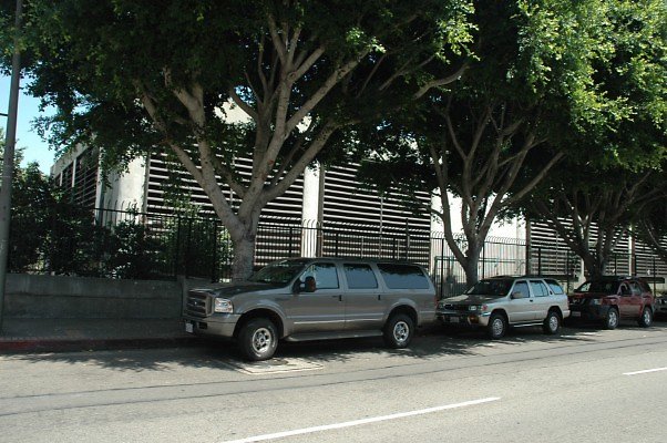 DSC 0013