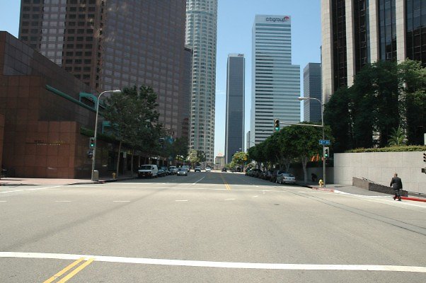 DSC 0019