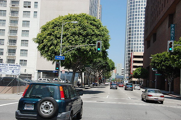 DSC 0279