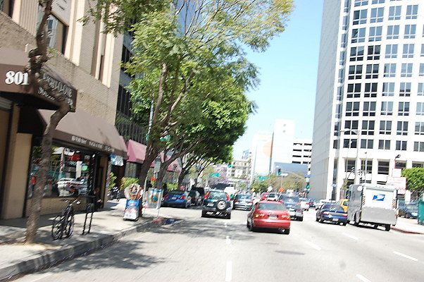 DSC 0282