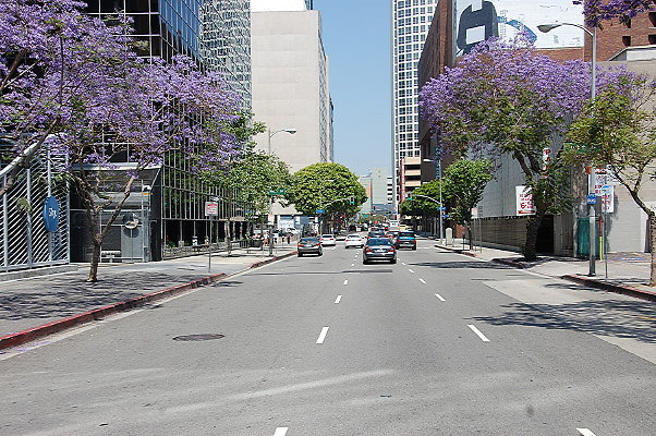 DSC 0277