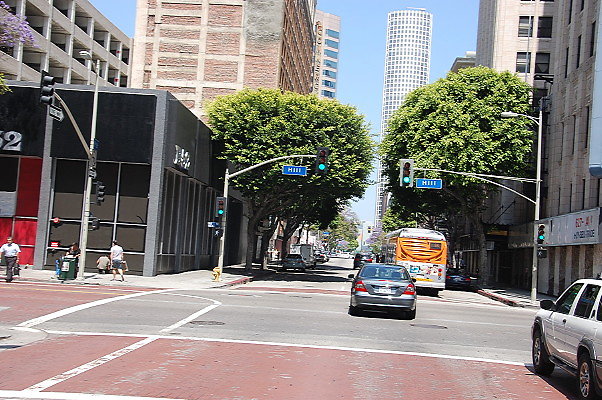 DSC 0273