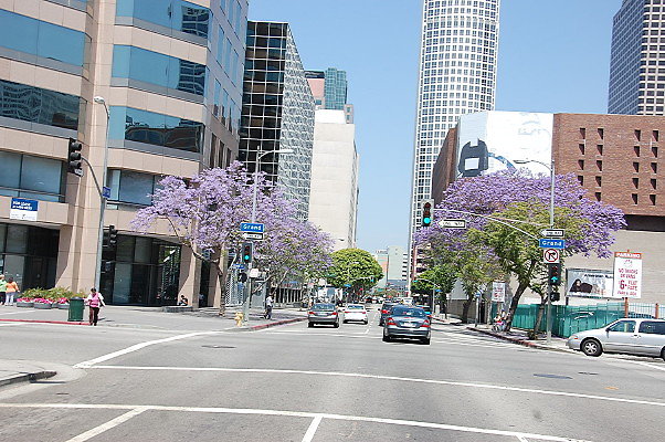DSC 0276