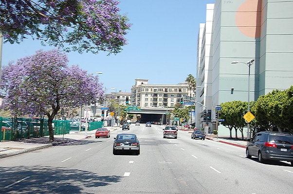 DSC 0285