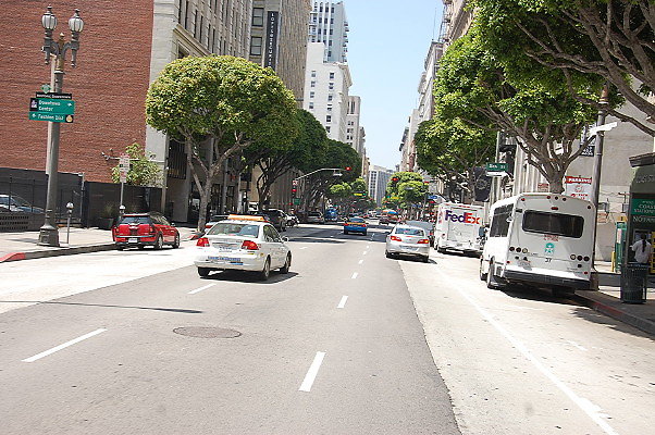 DSC 0253