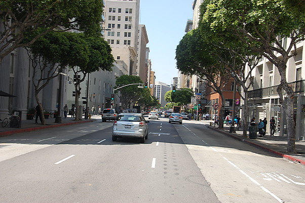 DSC 0258