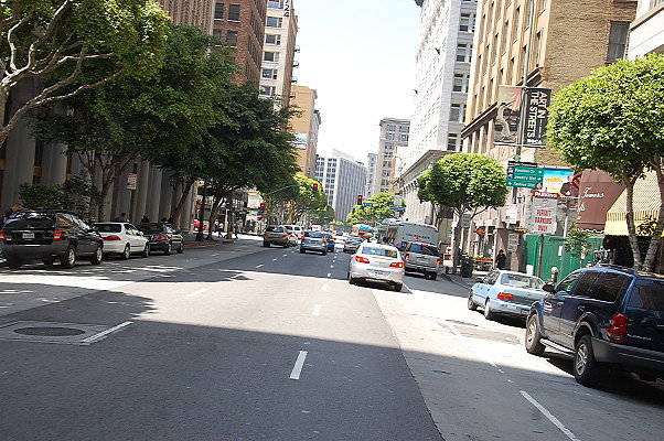 DSC 0262