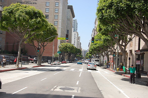 DSC 0252