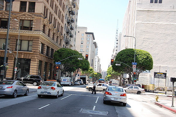 DSC 0249