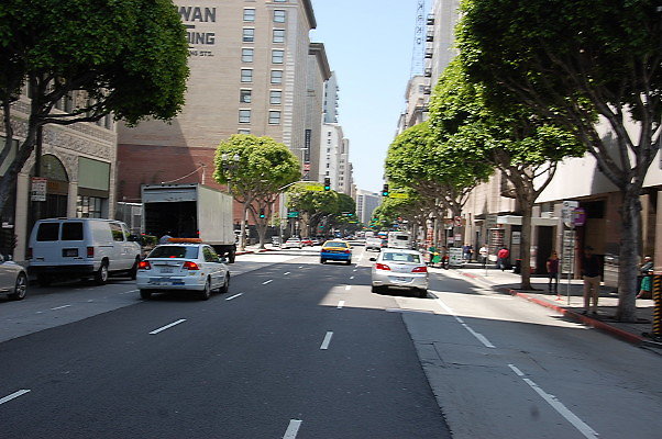 DSC 0251