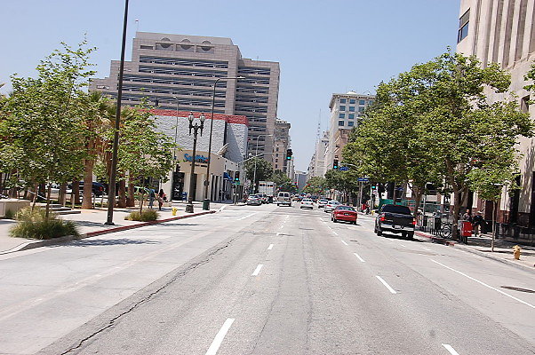 DSC 0241
