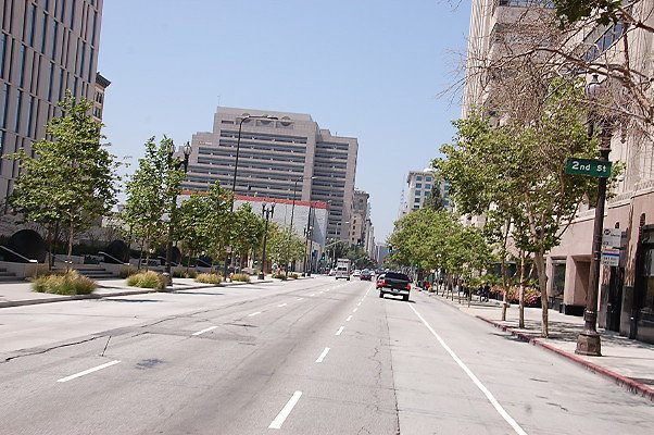 DSC 0239