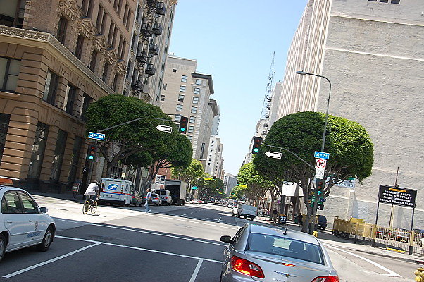 DSC 0250