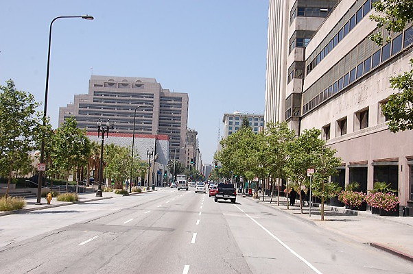 DSC 0240