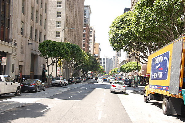 DSC 0261