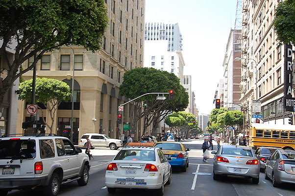 DSC 0254