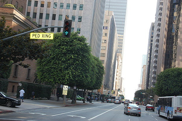 DSC 0218
