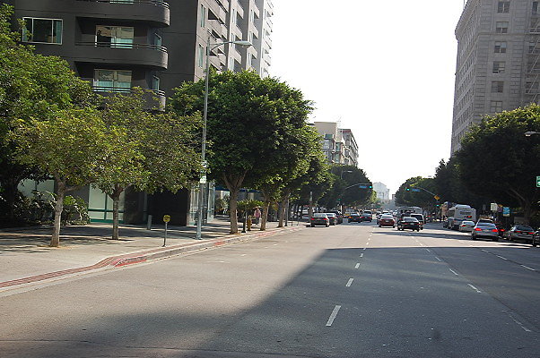 DSC 0243