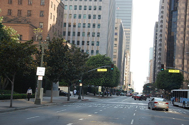 DSC 0217