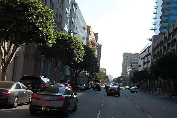 DSC 0239