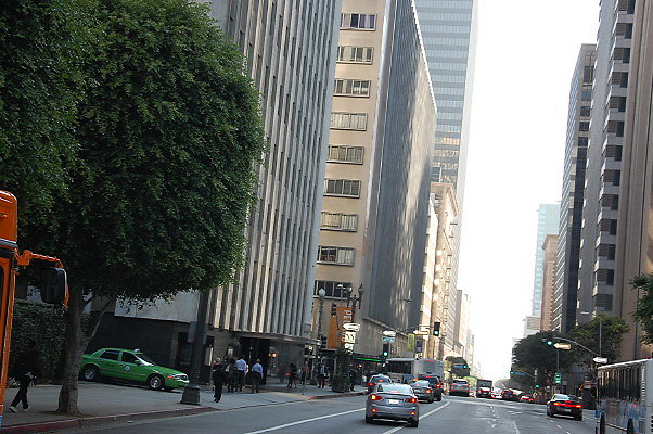 DSC 0220