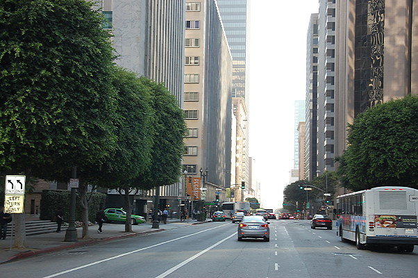 Flower From 5th to Olympic