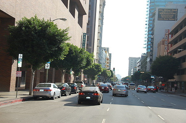 DSC 0236
