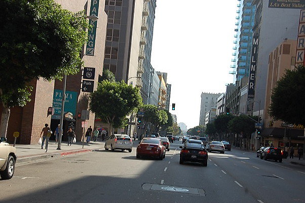 DSC 0237