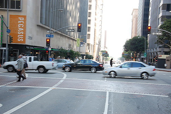 DSC 0231
