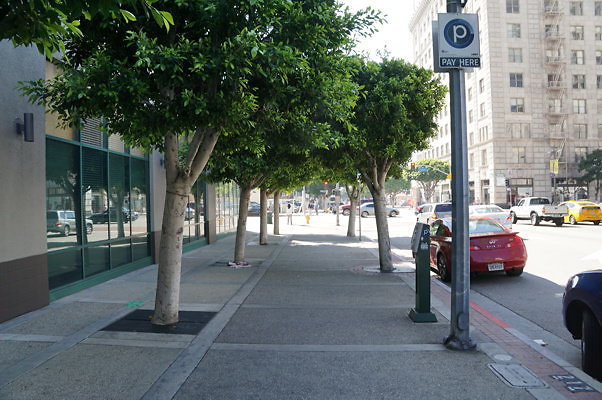 DSC09338