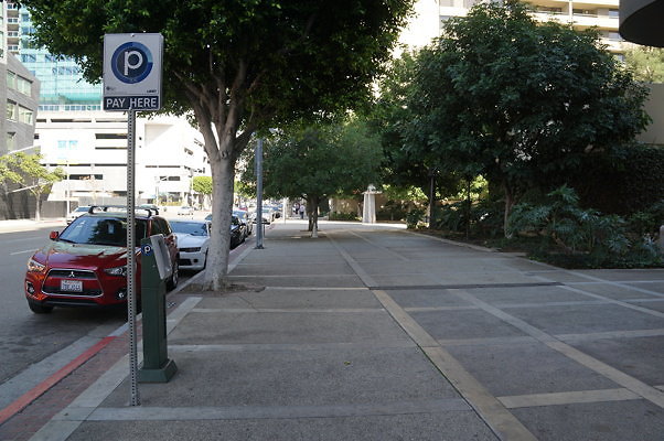DSC09334