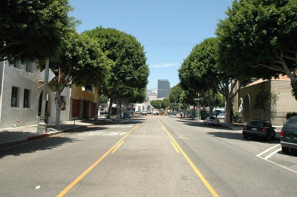 DSC 0274