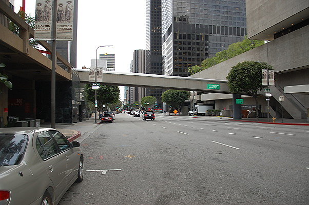 DSC 0037