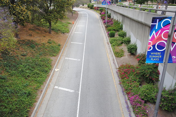 DSC 0002