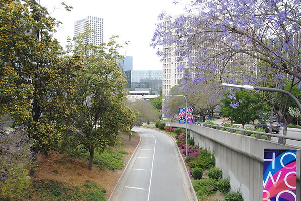 Flower Ramps