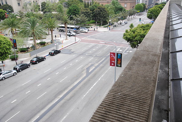 DSC 0022