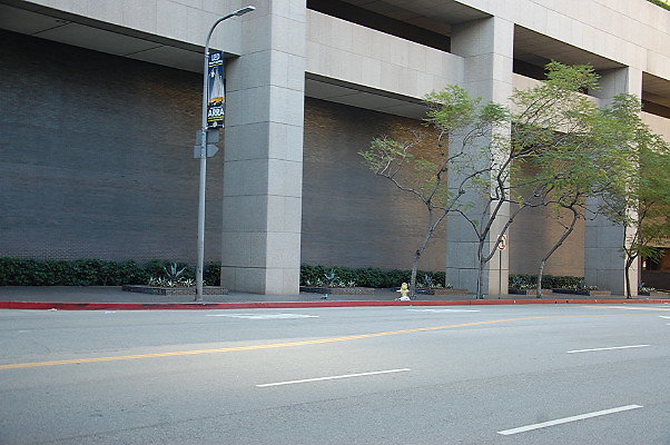 DSC 0006