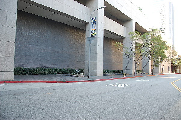 DSC 0013