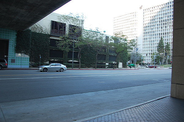 DSC 0018